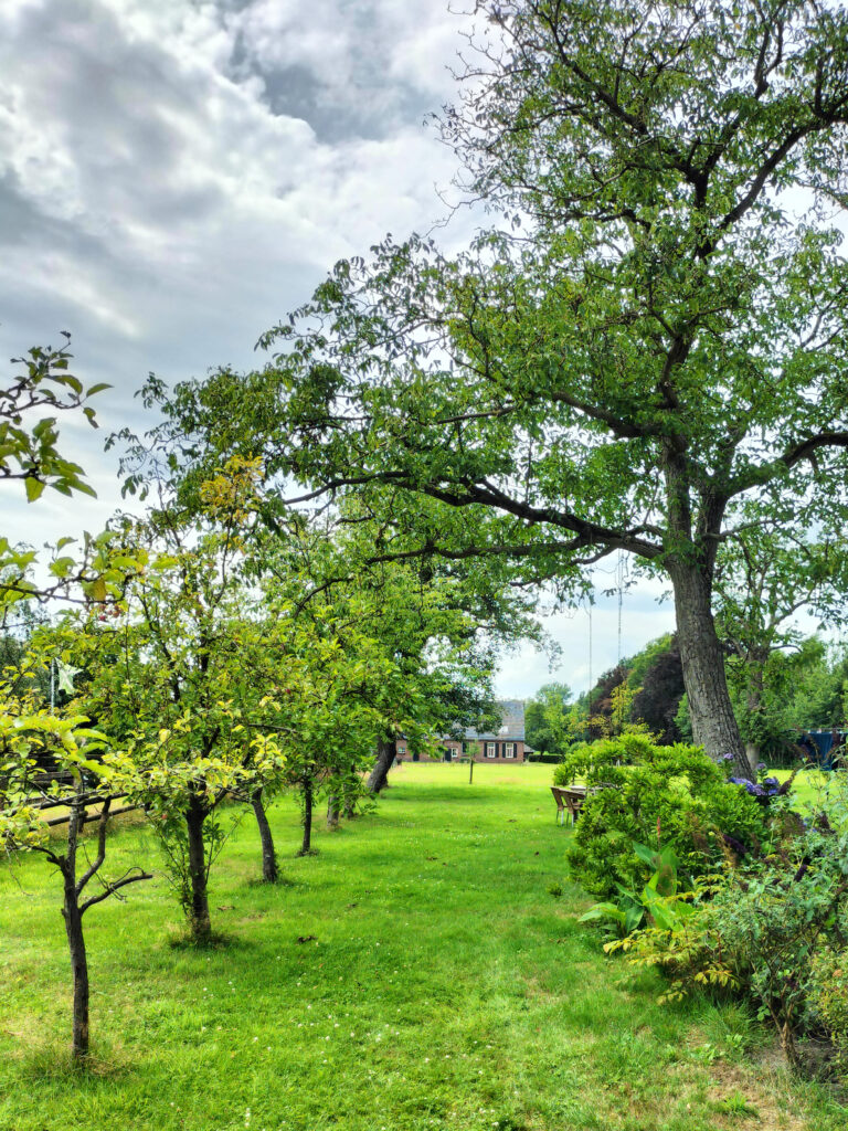 17 fruitbomen tuin