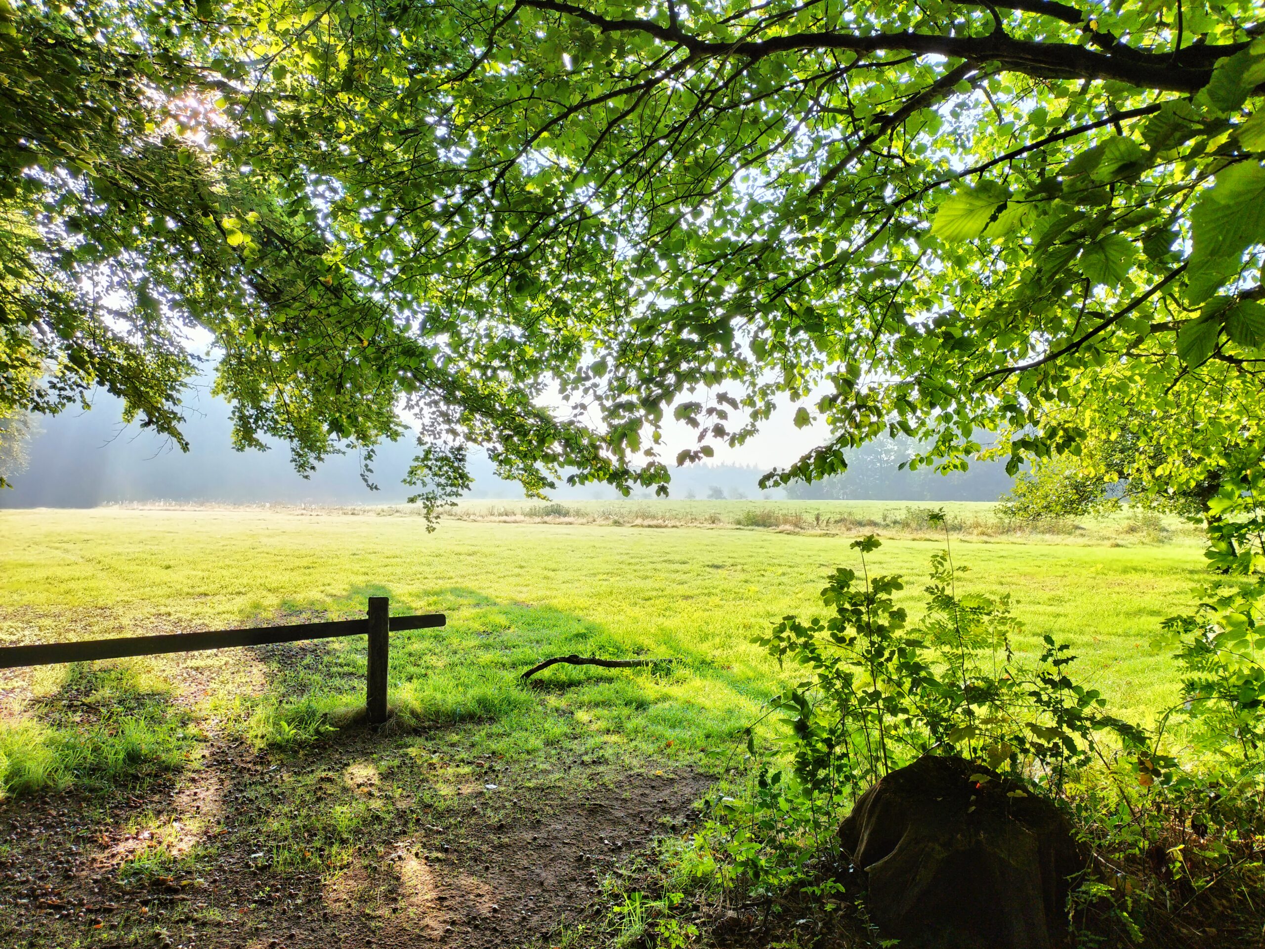Prachtige natuur van de Achterhoek bij vakantiehuis Echterhoes in Winterswijk
