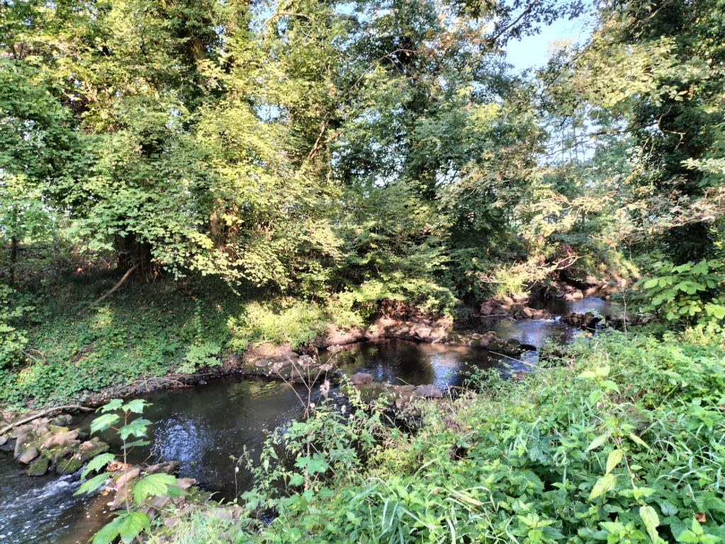 Omgeving van het vakantiehuis in de Achterhoek
