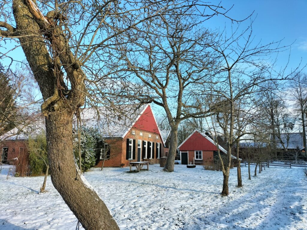 whatsapp image 2026 01 18 at 14.30.56